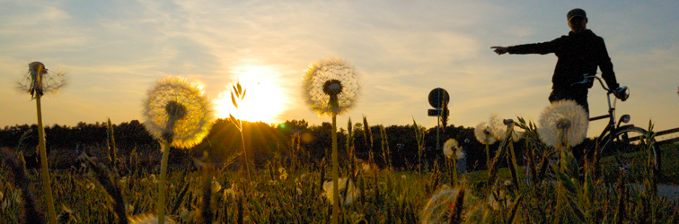 Spring fields